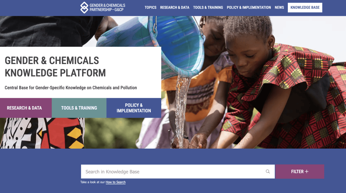 Gender & Chemicals Knowledge Platform Launched to Advance Gender-Responsive Chemicals Management